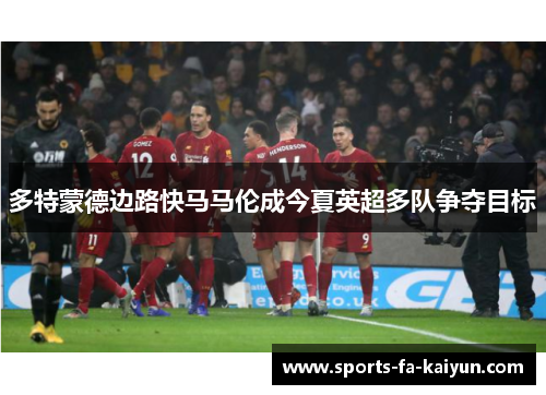 多特蒙德边路快马马伦成今夏英超多队争夺目标